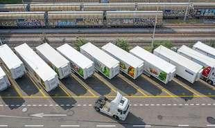 migros buonvicini 310