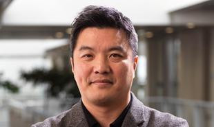 Hyundai Strategie1b 310